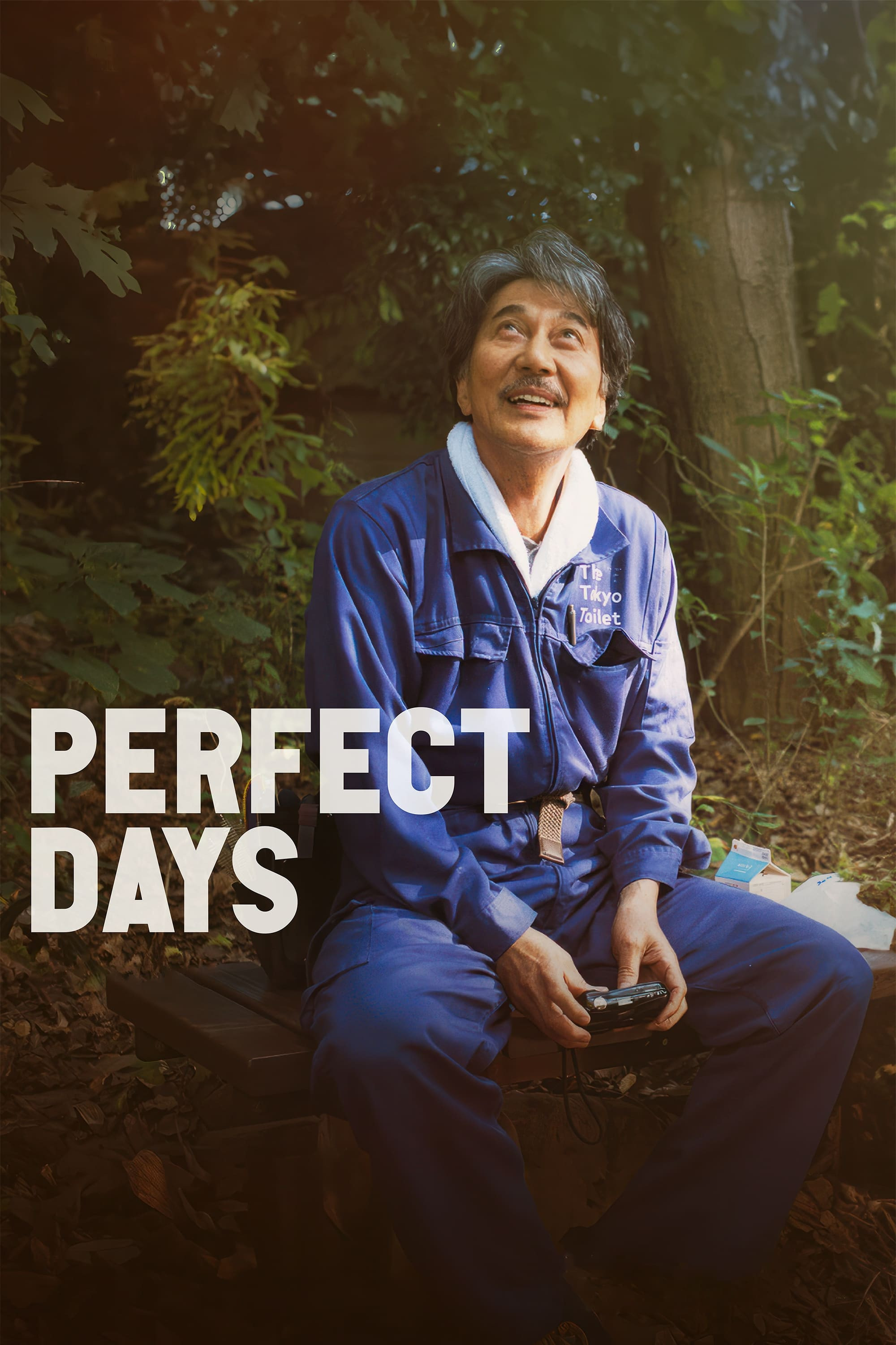Perfect Days
